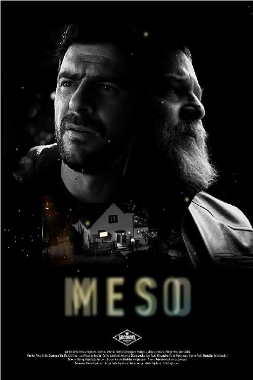 Meso 2018