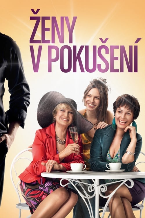 Ženy v pokušení (2010) poster