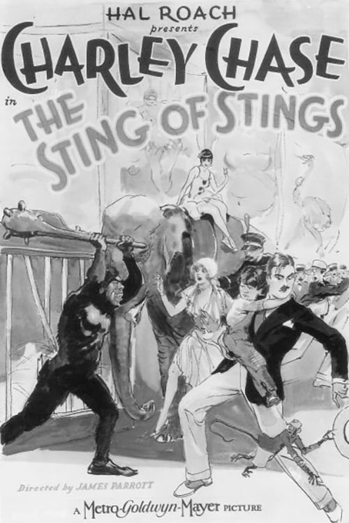 The Sting of Stings Movie Poster Image