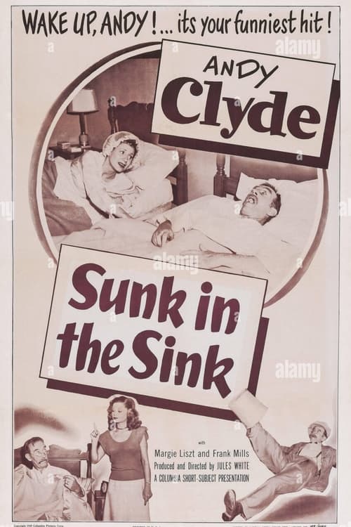 Sunk in the Sink Movie Poster Image