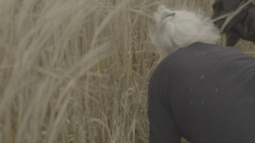 Les Chiennes — Fundos 1