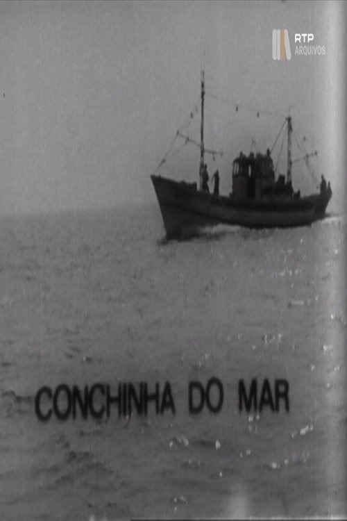 Conchinha do Mar (1975)