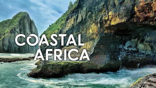 Coastal Africa - Season 1 Backdrop Blur