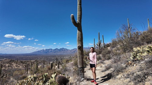 Solo Backpacking Saguaro National Park