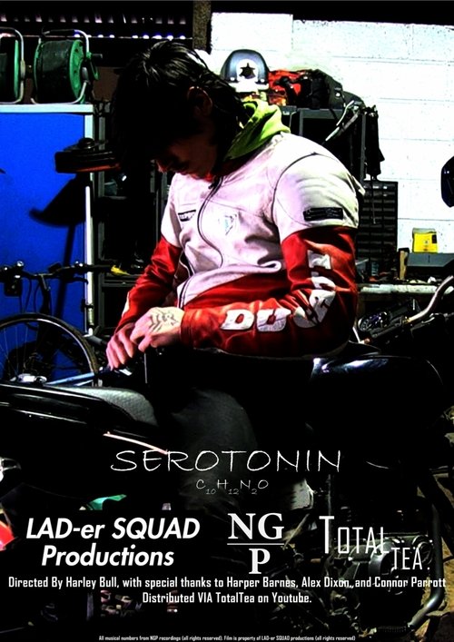Serotonin poster