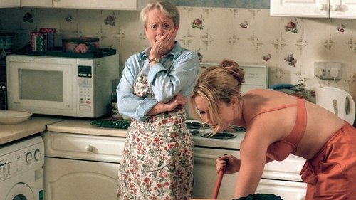 The Futility of the Fly