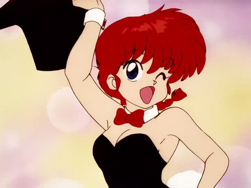 Photo 340