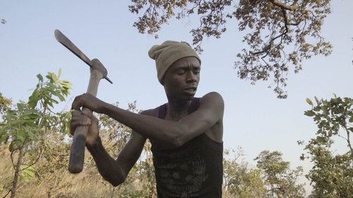 Makala image 6