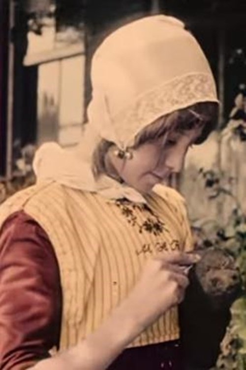 Dutch Hairstyles and Types (1909)