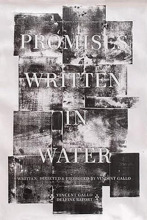 Promises Written in Water (2010) poster