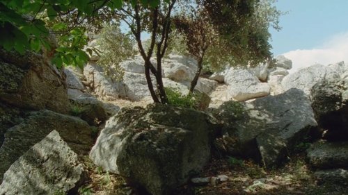 image1