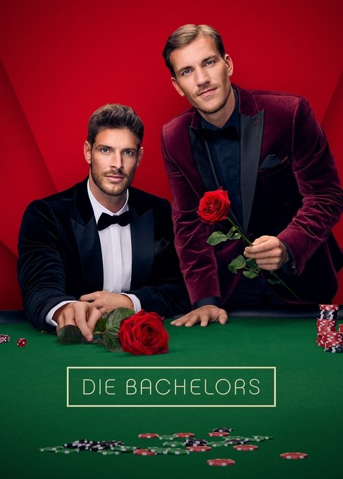 Season 15