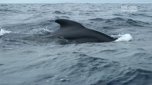 Ireland's Deep Atlantic