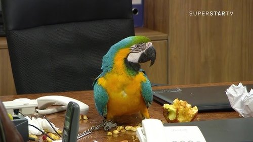 Image de l'épisode 137