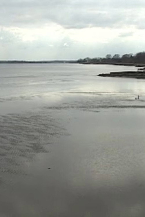 Chesapeake Views from Late February and Early April