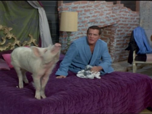 Green Acres, S05E15 - (1970)