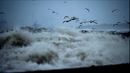 Vindication to Victory