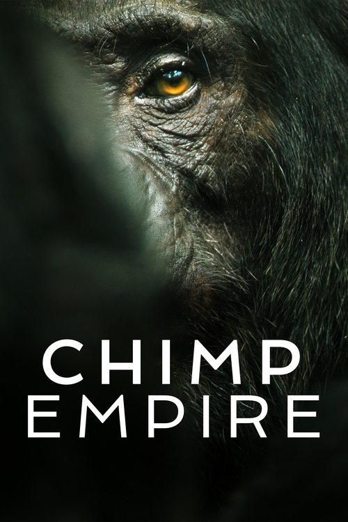 Poster Chimp Empire