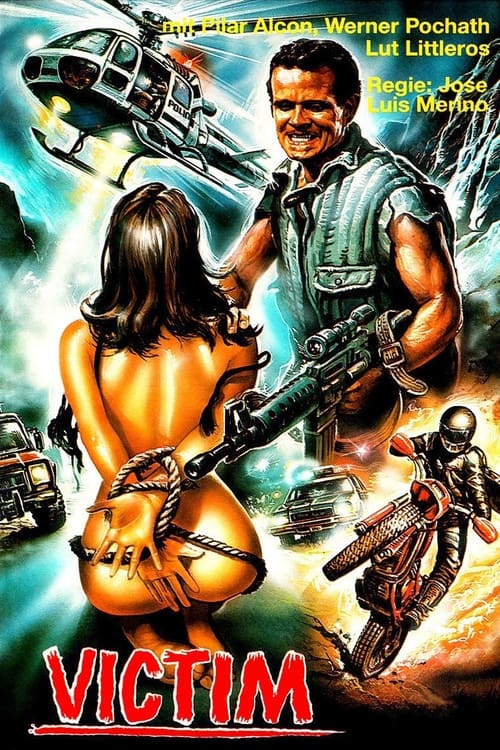 Poster USA, violación y venganza 1983