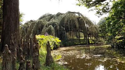 Image de l'épisode 18