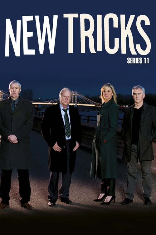 Where to stream New Tricks Season 11