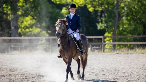 Poster della serie Riding in Darkness