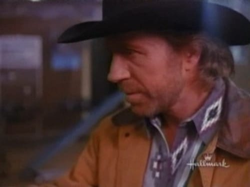 Poster della serie Walker, Texas Ranger