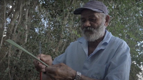 Diálogos Indígenas do Nosso Tempo