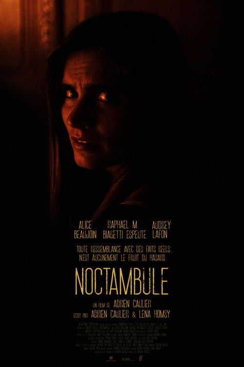 Noctambule poster