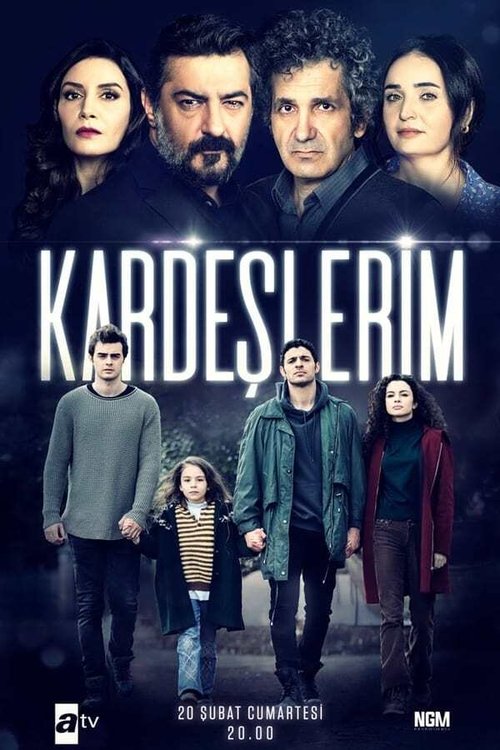 Ver temporada 1 de Hermanos Póster de la temporada 1 de la serie Hermanos