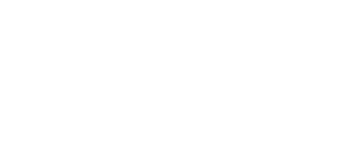The Big Bus