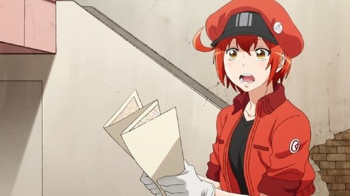 Hataraku Saibou Kaze Shoukougun 2018 Yify Yts Download Movie Hataraku Saibou Kaze Shoukougun 2018 Yify Yts Download Movie