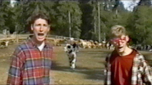 The Cow Knocks Twice II