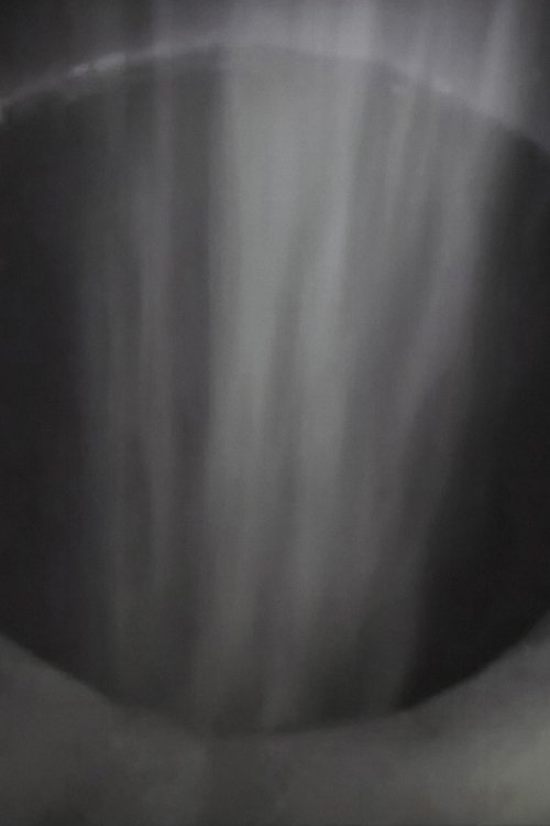 It's just a little hole in my chest (2004) poster