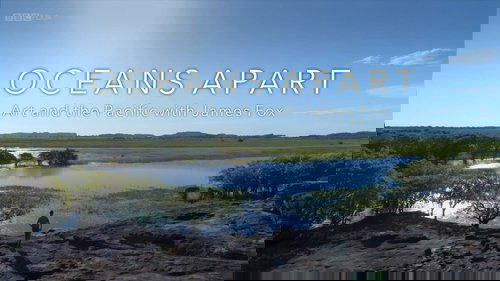 Oceans Apart: Art and the Pacific with James Fox