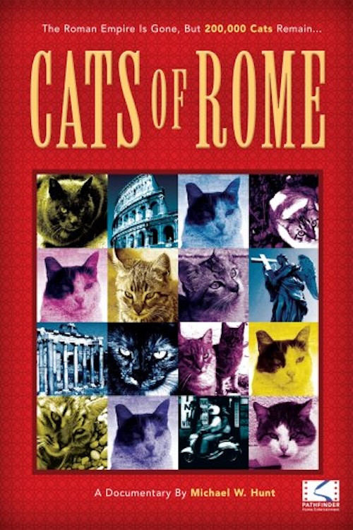 Cats of Rome