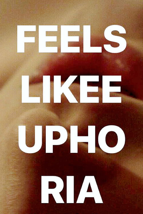 Feels Like Euphoria poster