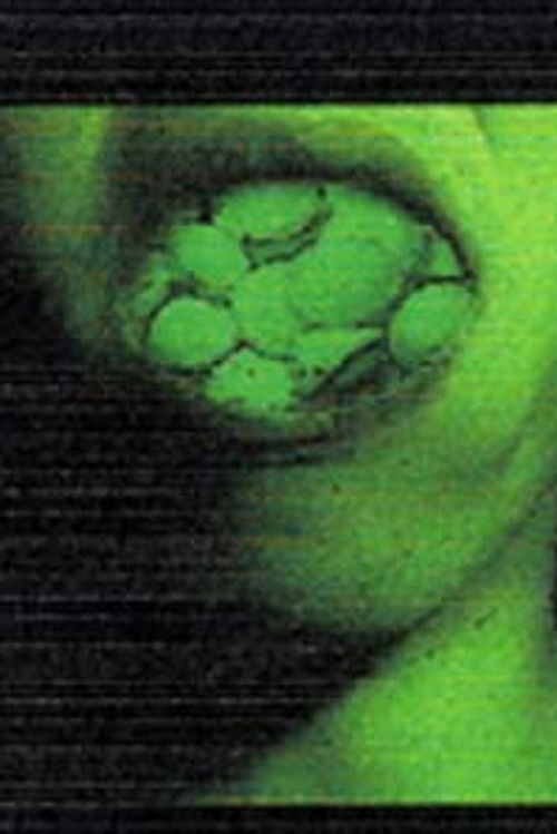 Naphthalene (2002) poster