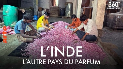 Image de l'épisode 15