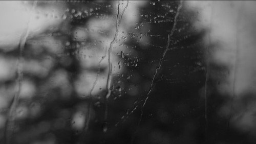 The New Life Bild 6