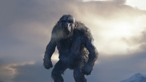 Image du film