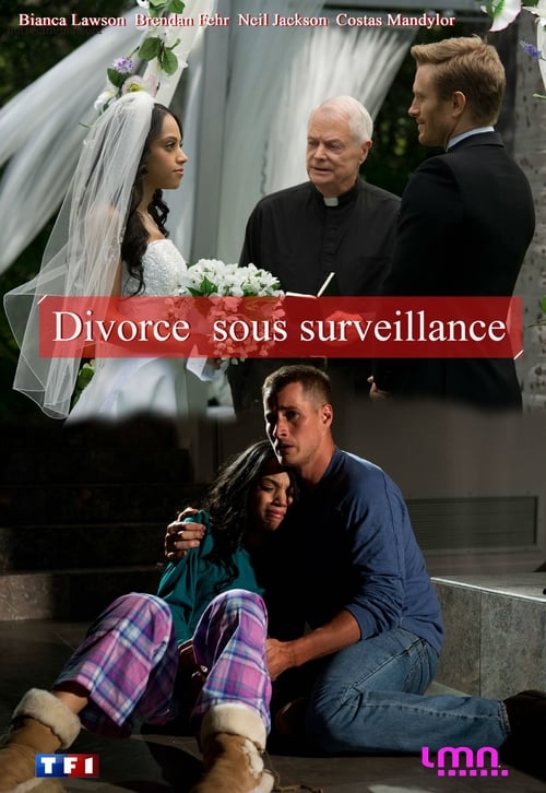 Divorce sous surveillance (2014)