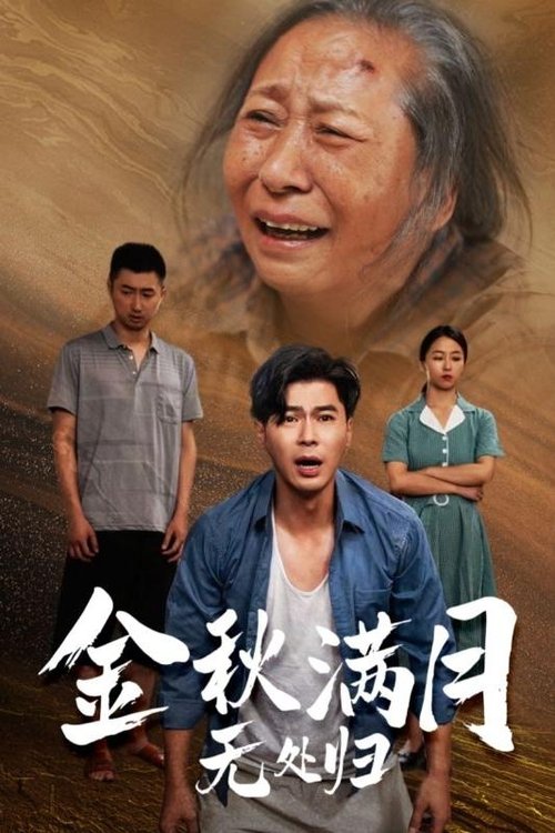 金秋满月无处归