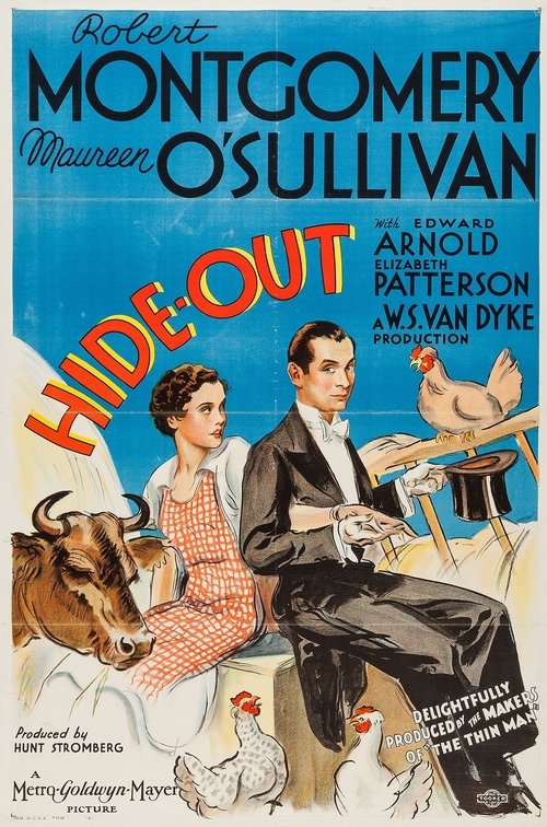Hide-Out poster