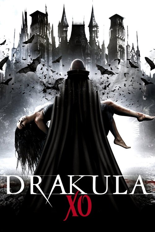 Poster 4