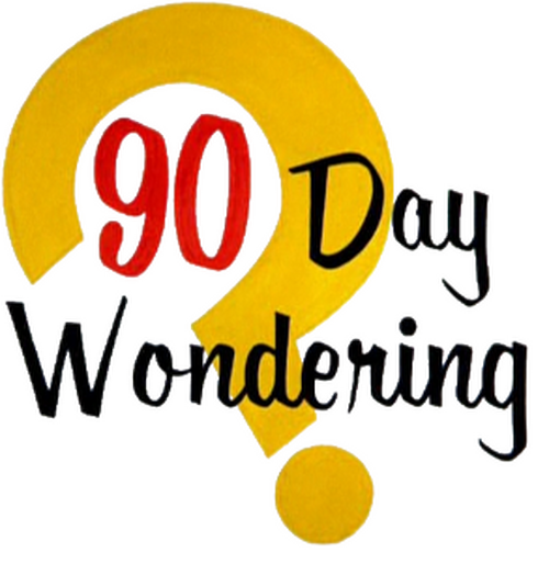 90 Day Wondering