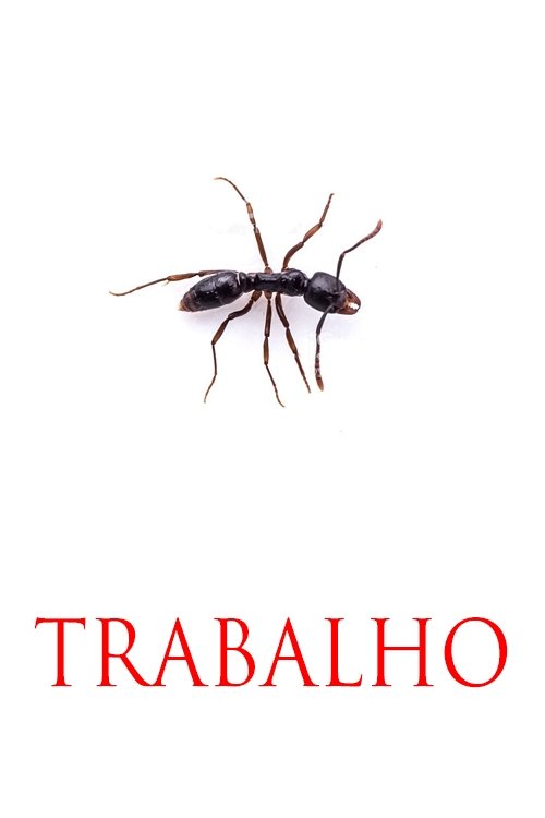 TRABALHO movie poster player
