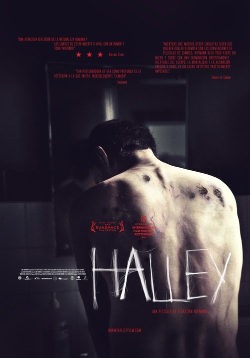 Halley poster