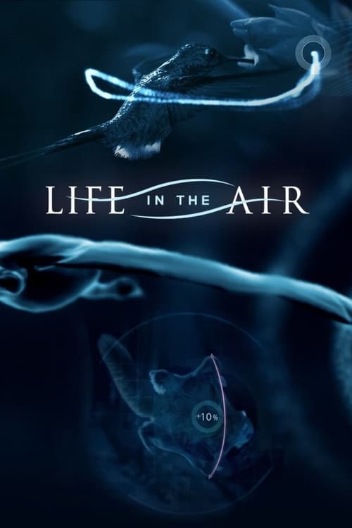 Where to stream Life in the Air Season 1