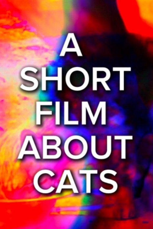A Short Film About Cats (2025) poster